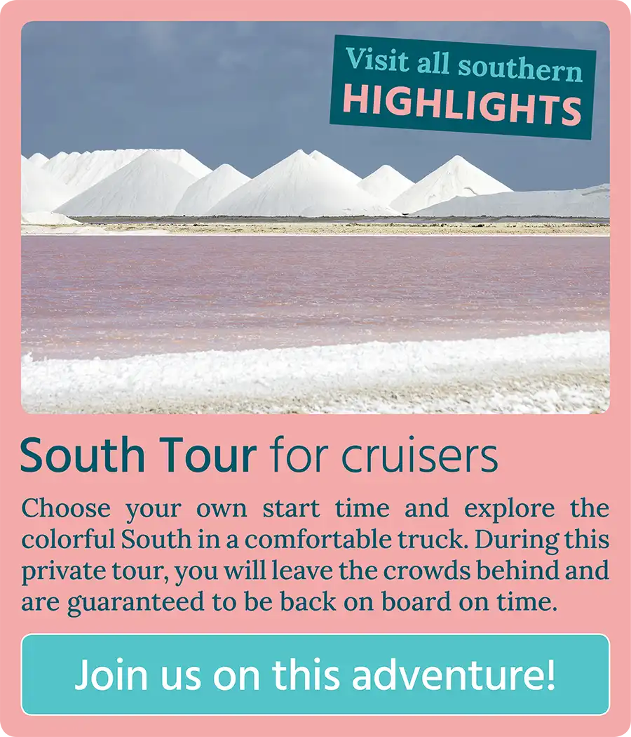 Call to action button: South Tour for cruisers - Join us on this adventure!