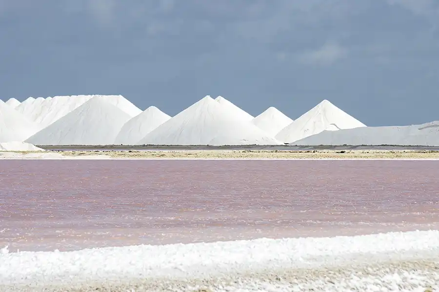 Call to action button to the South Tour Page.