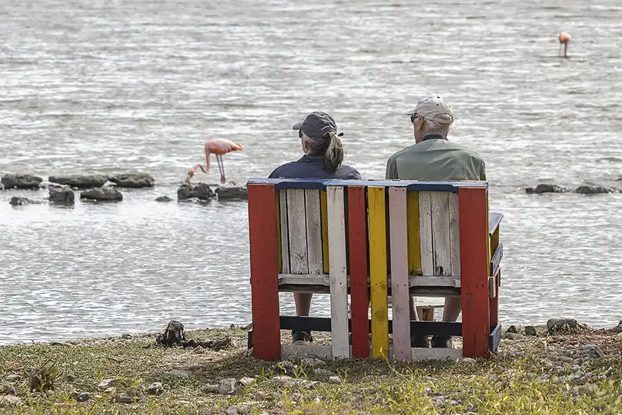 Enjoy birdwatching at Salina Frans on your Bonaire Cruise Stop.