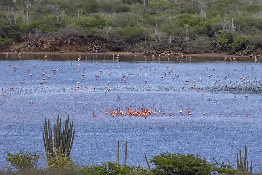 Call to action button to the North Tour Page.