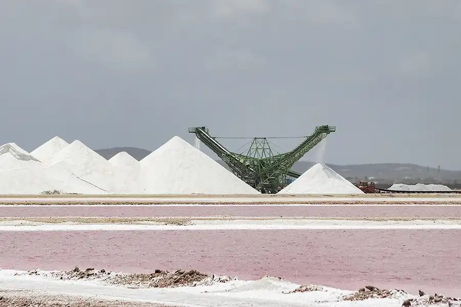 During your cruise stop Island tour by HopiBonaire, we drive along the salt pans in the south.