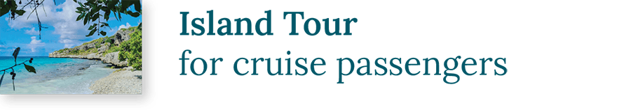 Mobile CTA to the Island Tour page.