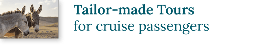 Mobile CTA to the Tailor-made Tours page.