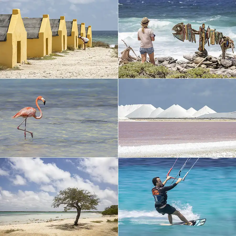 Colorful collage of the HopiBonaire South Tour for cruise passengers.
