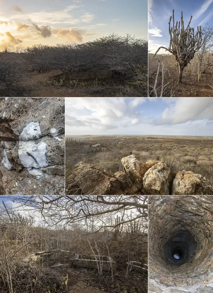 Collage of highlights on Ruta Nene Sjòrs, a hike on Bonaire.